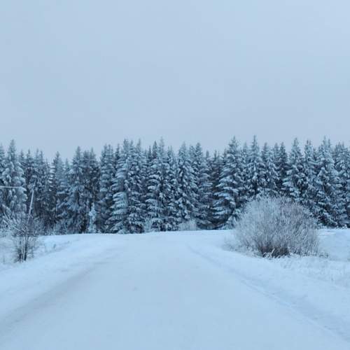 Photo #8780614