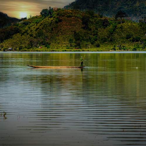 Photo #8780620