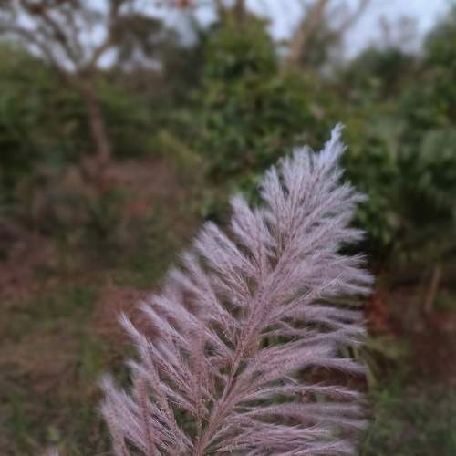 Photo #8780867