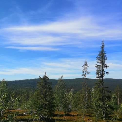 August day in Zapoljare