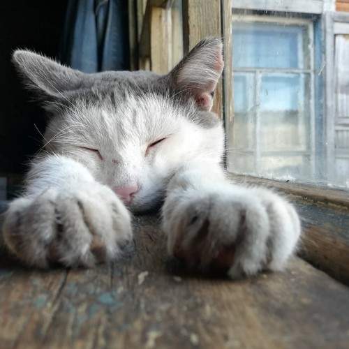 Photo #8781108