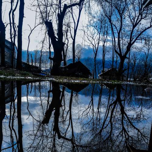 Photo #8781507