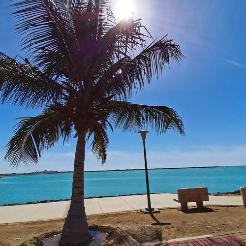 Photo #8781560