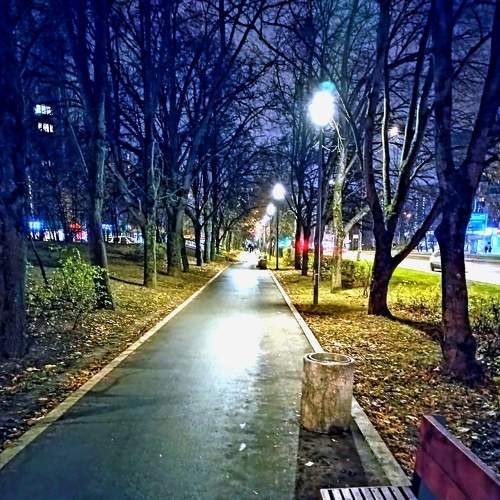 Photo #8781579