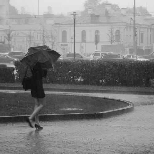 Photo #8781750