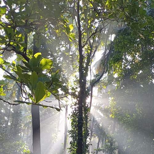 Photo #8781951
