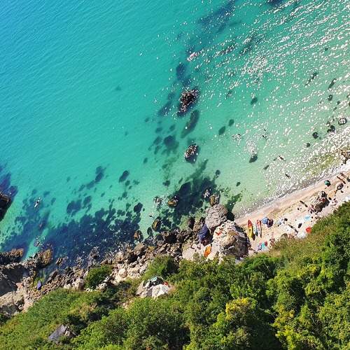 Photo #8782162