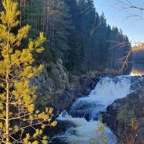 Photo #8782164