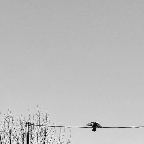 Photo #8782348