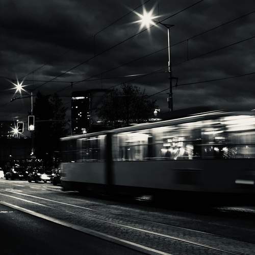 Photo #8782375