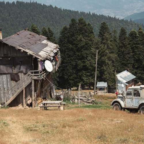 Photo #8782439