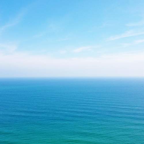 Photo #8782656