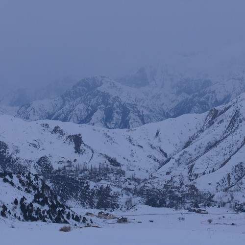 Photo #8782691