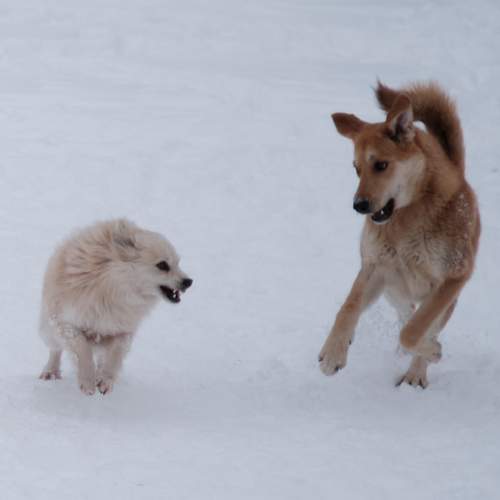 Photo #8782886