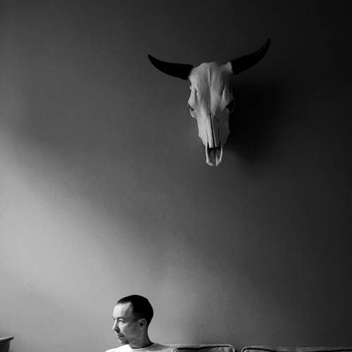 Photo #8782896