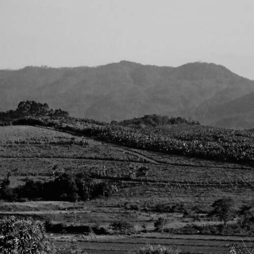 Photo #8783017