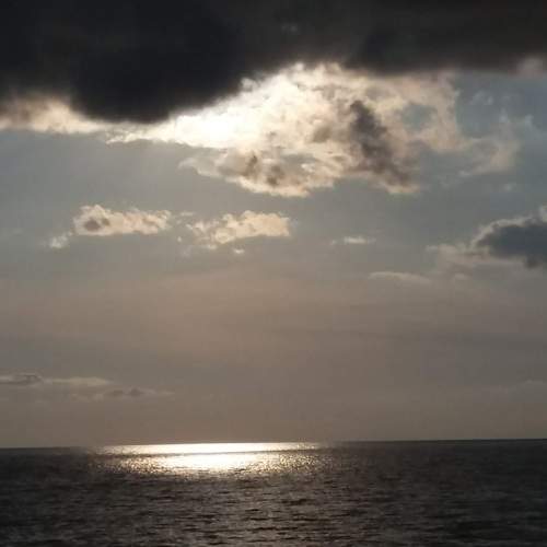 Photo #8783289