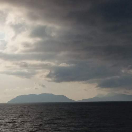Photo #8783292