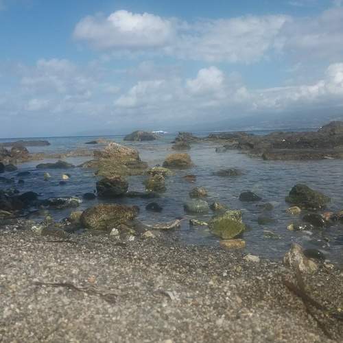 Photo #8783293
