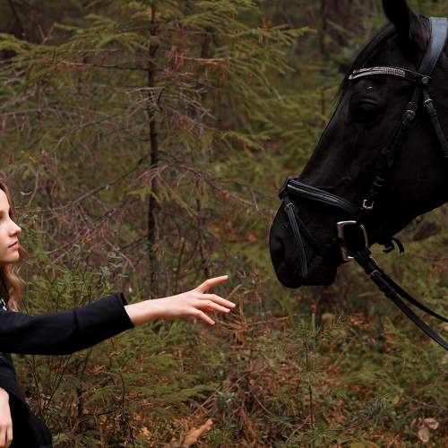 Photo #8783449