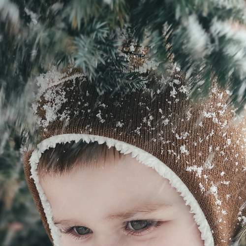 Photo #8783481