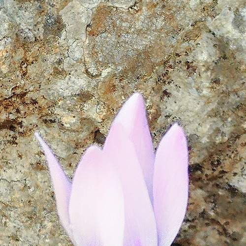 Photo #8783646