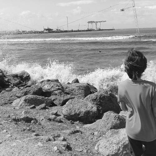 Photo #8783756