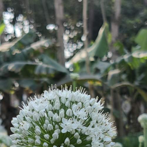Photo #8783762