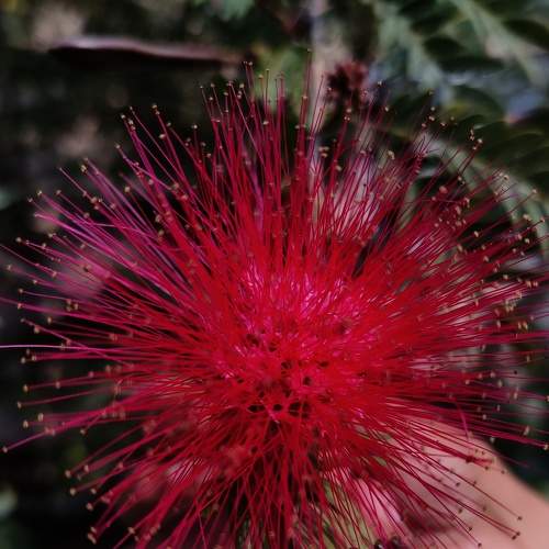 Photo #8783766