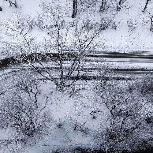 Photo #8783906