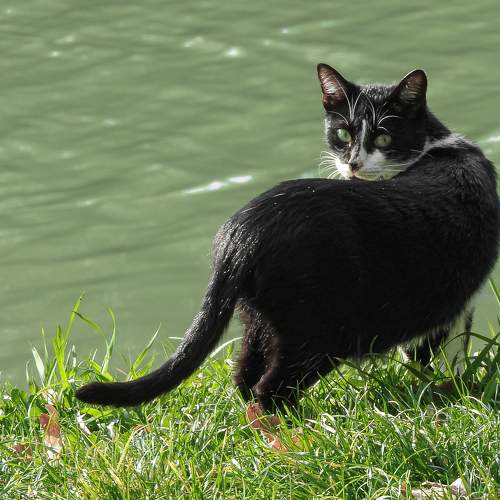 Photo #8783986