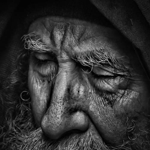 Фотография #8784199