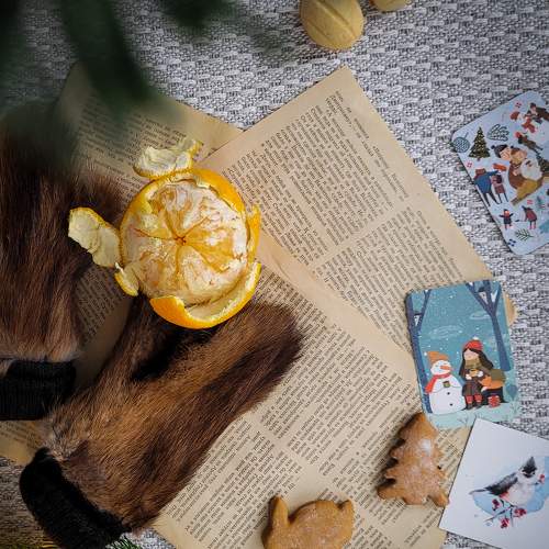 Photo #8784408
