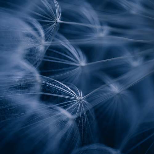 Photo #8784814