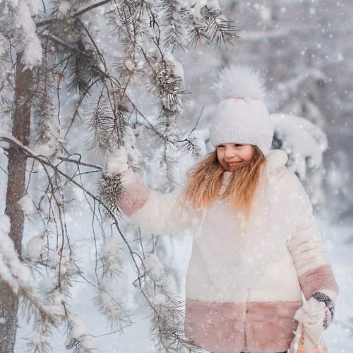 Photo #8785246