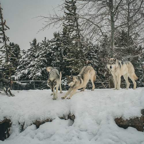 Photo #8785280