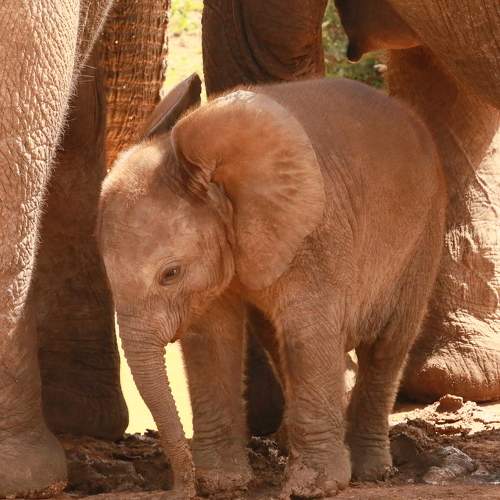 Photo #8785464