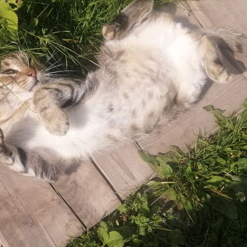 Photo #8785494