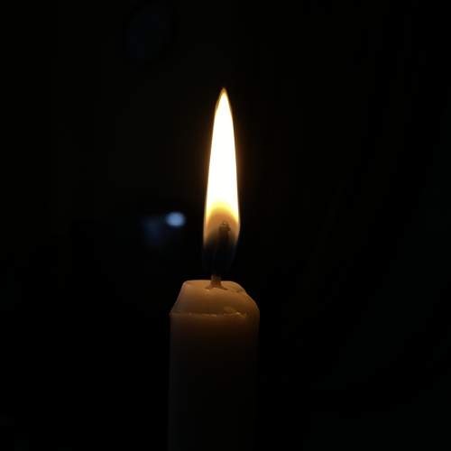 Photo #8785574