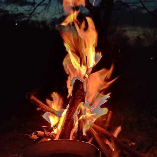 Photo #8785697