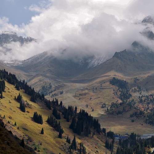 Photo #8785701