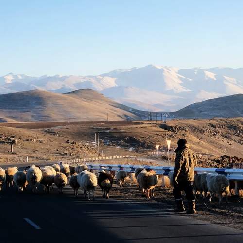 Photo #8785783