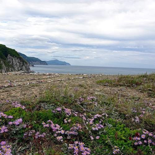 Photo #8786176