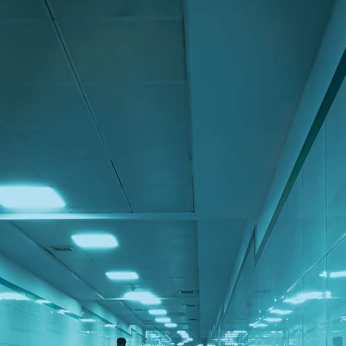 Photo #8786332