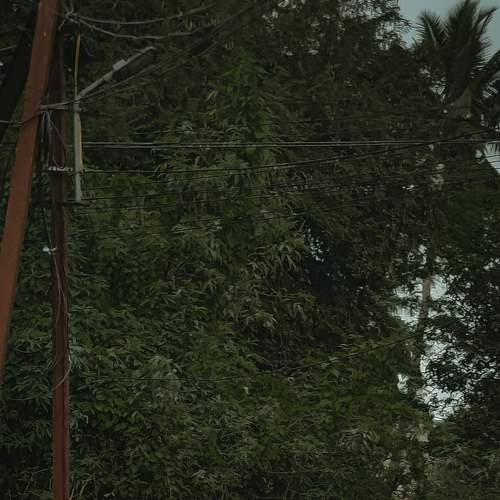 Photo #8786379