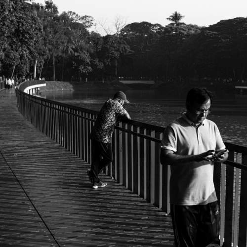 Photo #8786502
