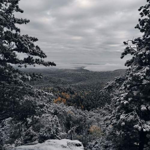 Photo #8786639