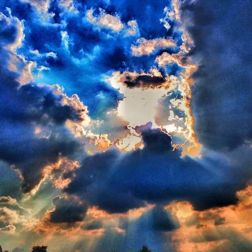 Photo #8786893