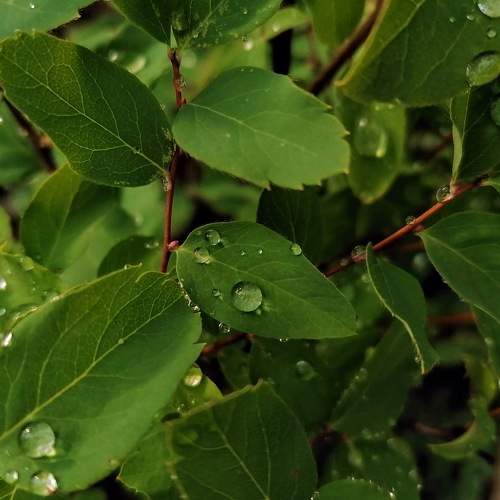 Photo #8787059