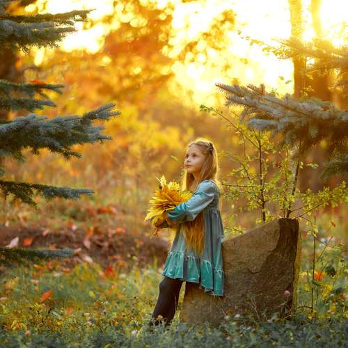 Photo #8787660